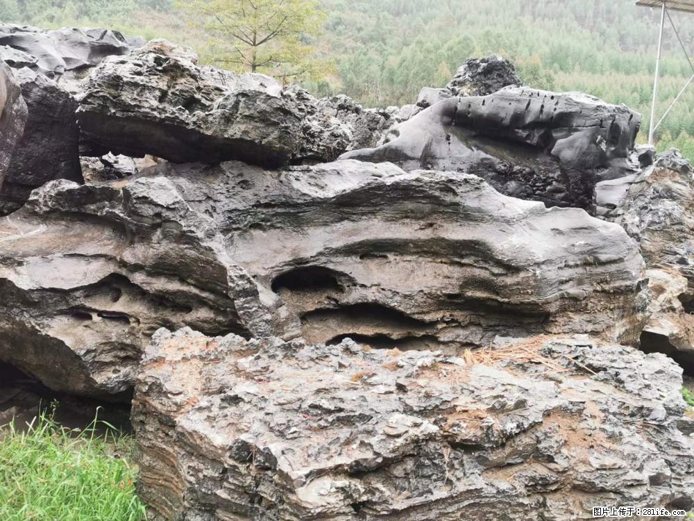 风景石、假山石大量有货，有需要的欢迎联系 - 新手上路 - 朝阳生活社区 - 朝阳28生活网 cy.28life.net