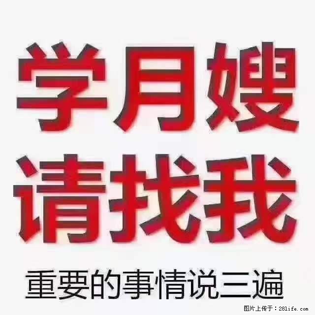 为什么要学习月嫂，育婴师？ - 新手上路 - 朝阳生活社区 - 朝阳28生活网 cy.28life.net