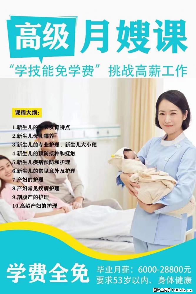 为什么要学习月嫂，育婴师？ - 新手上路 - 朝阳生活社区 - 朝阳28生活网 cy.28life.net