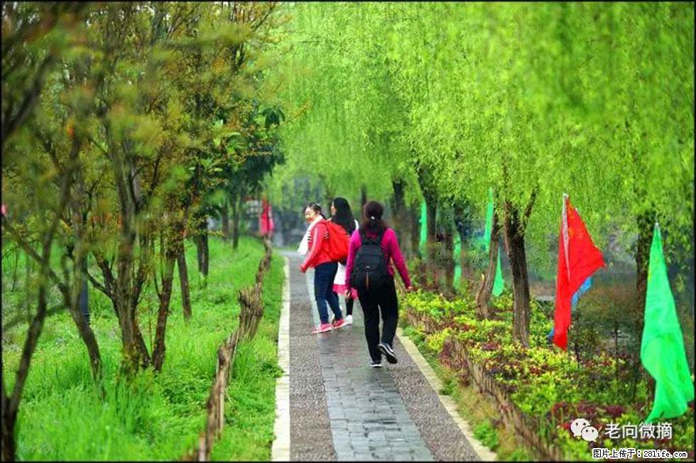 【春天，广西桂林灌阳县向您发出邀请！】江口老街又逢春 - 游山玩水 - 朝阳生活社区 - 朝阳28生活网 cy.28life.net