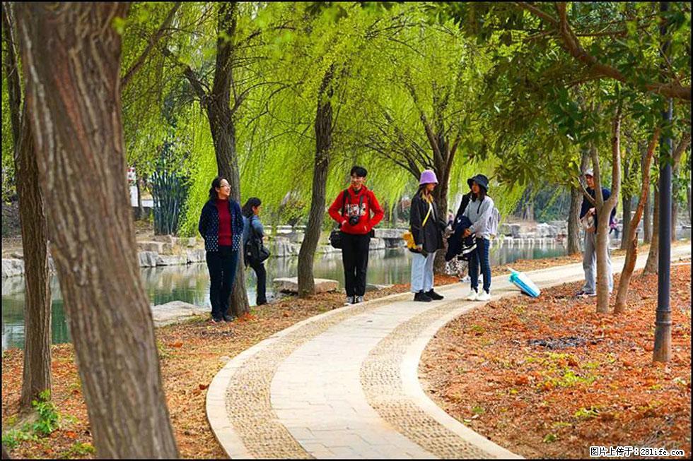 【春天，广西桂林灌阳县向您发出邀请！】江口老街又逢春 - 游山玩水 - 朝阳生活社区 - 朝阳28生活网 cy.28life.net