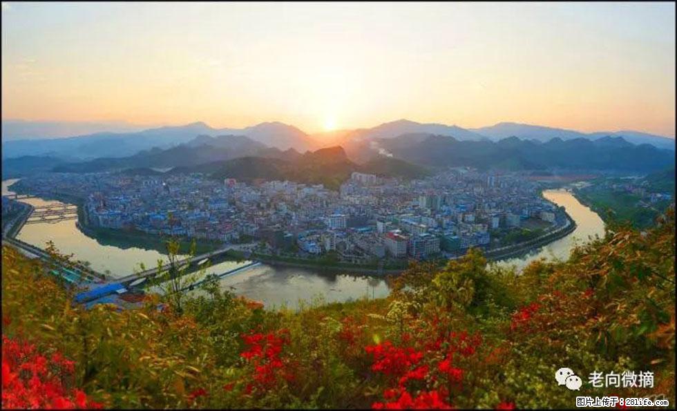 【春天，广西桂林灌阳县向您发出邀请！】登麒麟山，相约映山红 - 游山玩水 - 朝阳生活社区 - 朝阳28生活网 cy.28life.net