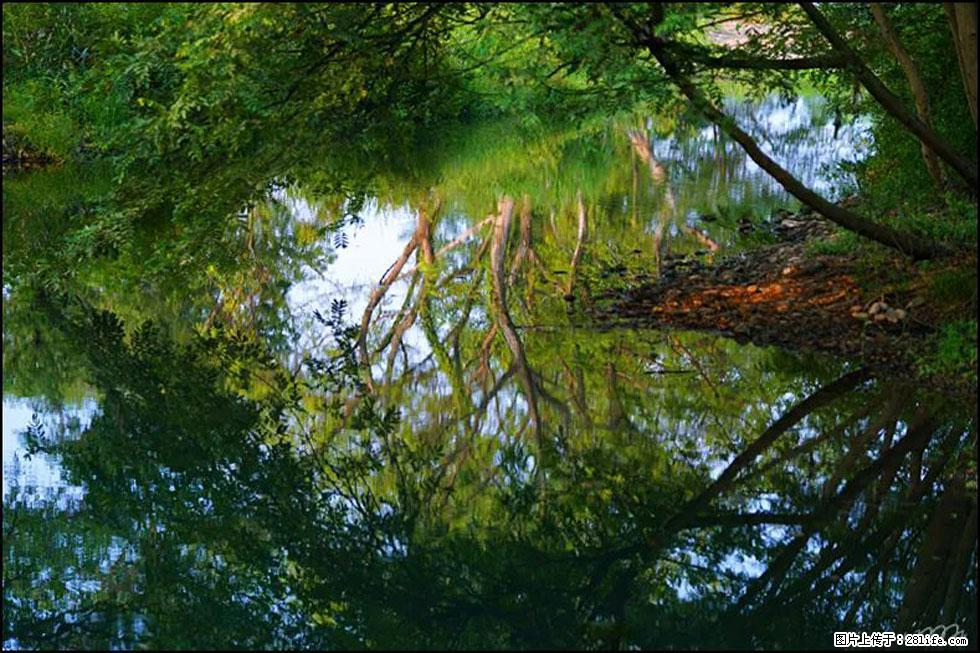 【春天,广西桂林灌阳县向您发出邀请!】熊家寨湿地公园 - 游山玩水 - 朝阳生活社区 - 朝阳28生活网 cy.28life.net