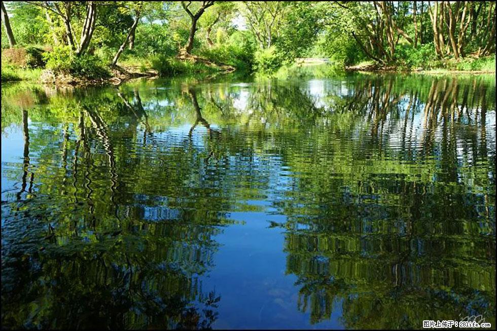 【春天,广西桂林灌阳县向您发出邀请!】熊家寨湿地公园 - 游山玩水 - 朝阳生活社区 - 朝阳28生活网 cy.28life.net