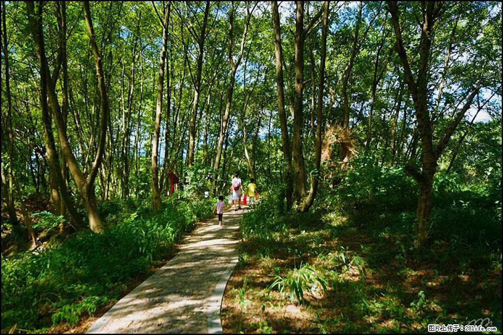 【春天,广西桂林灌阳县向您发出邀请!】熊家寨湿地公园 - 游山玩水 - 朝阳生活社区 - 朝阳28生活网 cy.28life.net