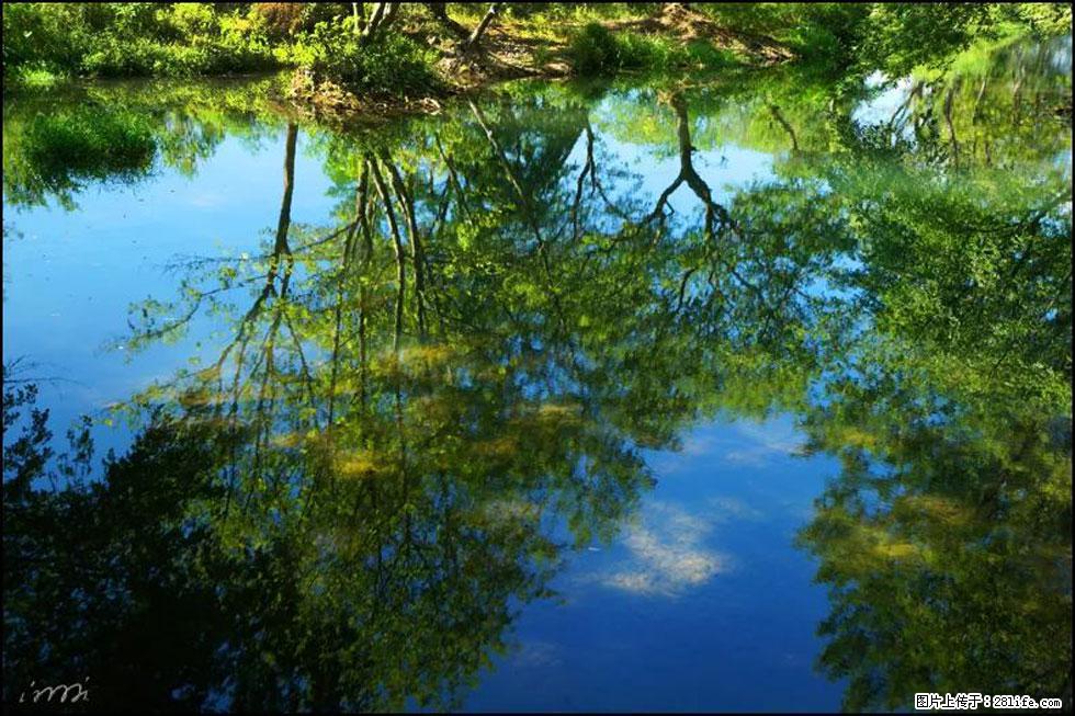 【春天,广西桂林灌阳县向您发出邀请!】熊家寨湿地公园 - 游山玩水 - 朝阳生活社区 - 朝阳28生活网 cy.28life.net