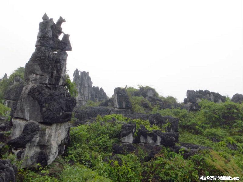 桂林旅游名城景点：灌阳文市石林 - 游山玩水 - 朝阳生活社区 - 朝阳28生活网 cy.28life.net