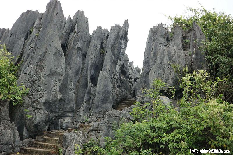 桂林旅游名城景点：灌阳文市石林 - 游山玩水 - 朝阳生活社区 - 朝阳28生活网 cy.28life.net