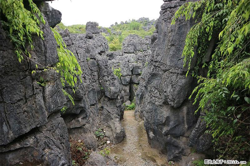 桂林旅游名城景点：灌阳文市石林 - 游山玩水 - 朝阳生活社区 - 朝阳28生活网 cy.28life.net