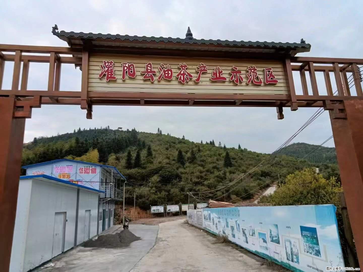 【灌阳县油茶产业示范区】一个有着充实的精神生活的人，对待身外之物自会有一种淡泊的态度 - 美食天地 - 朝阳生活社区 - 朝阳28生活网 cy.28life.net