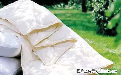 被子有异味？只要这样做，比晒太阳还强100倍！ - 家居生活 - 朝阳生活社区 - 朝阳28生活网 cy.28life.net