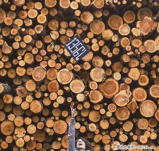 辞掉工作周游世界？现在他们在洗厕所…… - 游山玩水 - 朝阳生活社区 - 朝阳28生活网 cy.28life.net