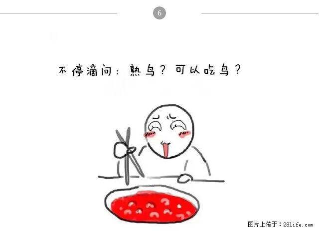 千万不要和这9种哈卵一起吃火锅！ - 美食天地 - 朝阳生活社区 - 朝阳28生活网 cy.28life.net