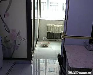 九龙新居2室1厅6楼70平精装家电8500元 - 朝阳28生活网 cy.28life.net