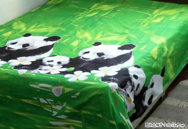 可季付 珠江城南新苑一室一厅4楼双阳 室内干净 - 房屋出租 - 房屋租售 - 朝阳分类信息 - 朝阳28生活网 cy.28life.net