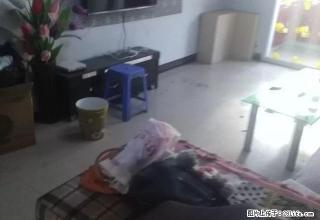 市內多处精装公寓1室1厅家电600月可月交包取暖 圣达电脑 - 朝阳28生活网 cy.28life.net