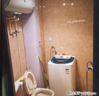 婚房8500/年秋月小区2室精装首租.家电家具全新.拎包入住 - 朝阳28生活网 cy.28life.net