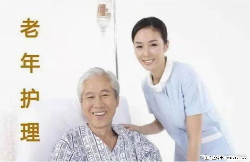 上海国企养老院，星级酒店环境，招聘养老护工 - 职场交流 - 朝阳生活社区 - 朝阳28生活网 cy.28life.net