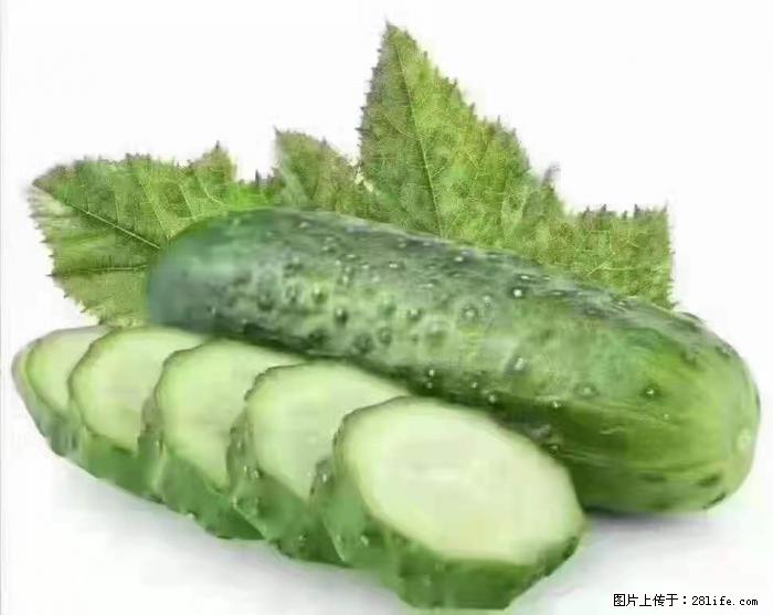 【生活小常识】吃黄瓜的好处 - 生活百科 - 朝阳生活社区 - 朝阳28生活网 cy.28life.net
