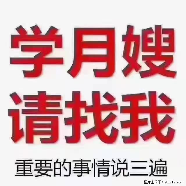【招聘】月嫂，上海徐汇区 - 职场交流 - 朝阳生活社区 - 朝阳28生活网 cy.28life.net