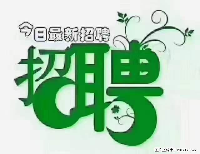 上海青浦区招仓管 - 职场交流 - 朝阳生活社区 - 朝阳28生活网 cy.28life.net