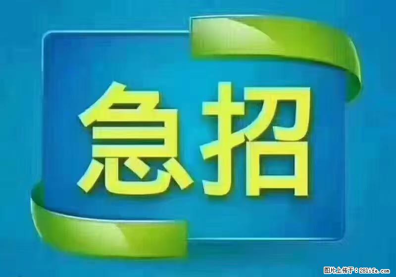 急单，上海长宁区隔离酒店招保安，急需6名，工作轻松不站岗，管吃管住工资7000/月 - 职场交流 - 朝阳生活社区 - 朝阳28生活网 cy.28life.net