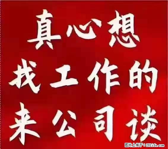 【上海】国企，医院招两名男保安，55岁以下，身高1.7米以上，无犯罪记录不良嗜好 - 职场交流 - 朝阳生活社区 - 朝阳28生活网 cy.28life.net