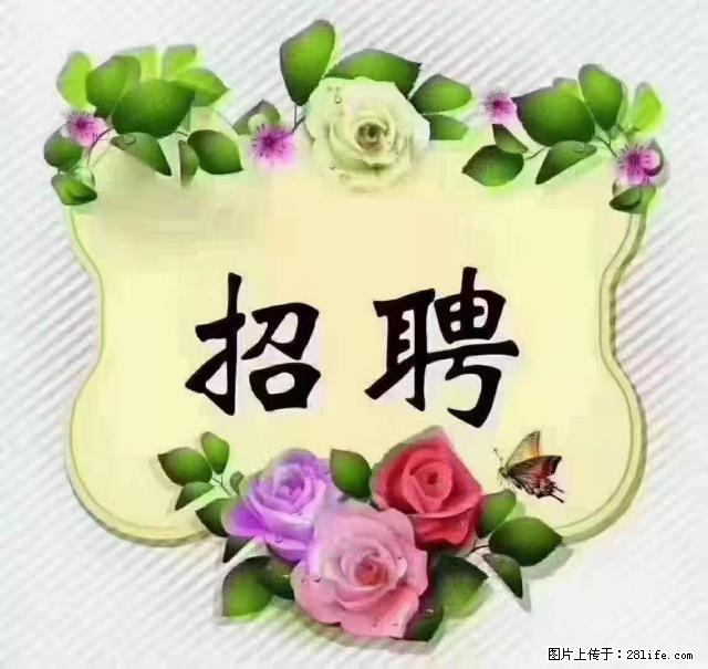 【招聘】住家育儿嫂，上户日期：4月4日，工作地址：上海 黄浦区 - 职场交流 - 朝阳生活社区 - 朝阳28生活网 cy.28life.net