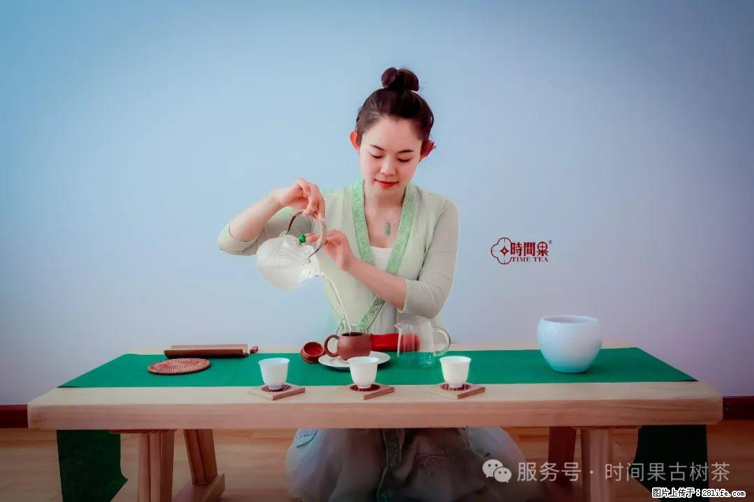 时间果百年古树龙珠普洱生茶 - 购物交流 - 朝阳生活社区 - 朝阳28生活网 cy.28life.net