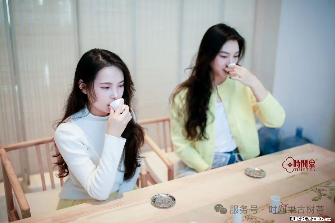 时间果百年古树龙珠普洱生茶 - 购物交流 - 朝阳生活社区 - 朝阳28生活网 cy.28life.net