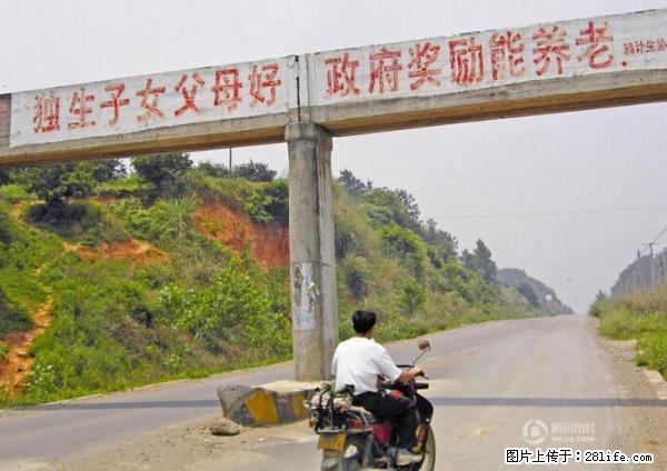 全面两孩政策计划明年元旦起实施 夫妻可延长生育假 - 朝阳生活资讯 - 朝阳28生活网 cy.28life.net