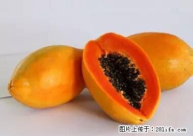 晕车、脚气、牙齿变黄、皮肤粗糙？学会这些三分钟搞定！ - 朝阳生活资讯 - 朝阳28生活网 cy.28life.net