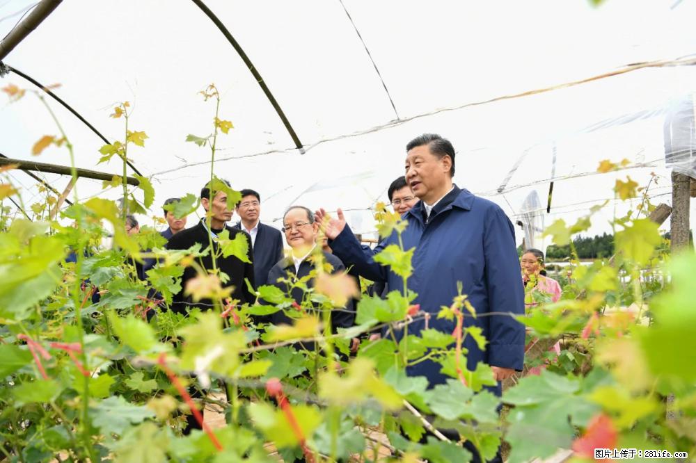 习近平赴广西考察调研 - 朝阳生活资讯 - 朝阳28生活网 cy.28life.net