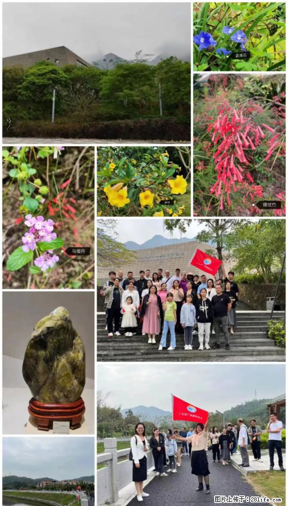 “粤灌文化 美好生活”油茶文化主题活动在广东深圳成功举办 - 朝阳生活资讯 - 朝阳28生活网 cy.28life.net