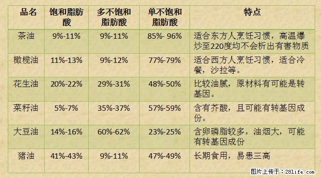 揭秘茶油的5大核心营养成分！被称为人体健康的“守护盾”！ - 朝阳生活资讯 - 朝阳28生活网 cy.28life.net