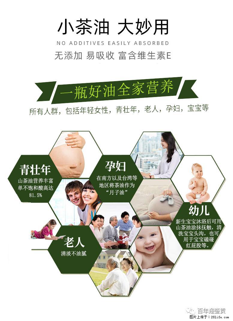 世界没有真相，只有认知，最好的食用油是中国的山茶油！ - 朝阳生活资讯 - 朝阳28生活网 cy.28life.net