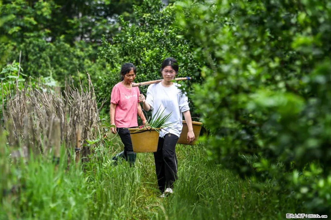 全网追的“扁担女孩”，找了一份暑假工，时薪12元 - 朝阳生活资讯 - 朝阳28生活网 cy.28life.net