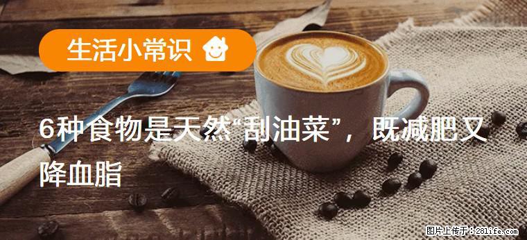 【生活小常识】6种食物是天然“刮油菜”,既减肥又降血脂 - 朝阳生活资讯 - 朝阳28生活网 cy.28life.net