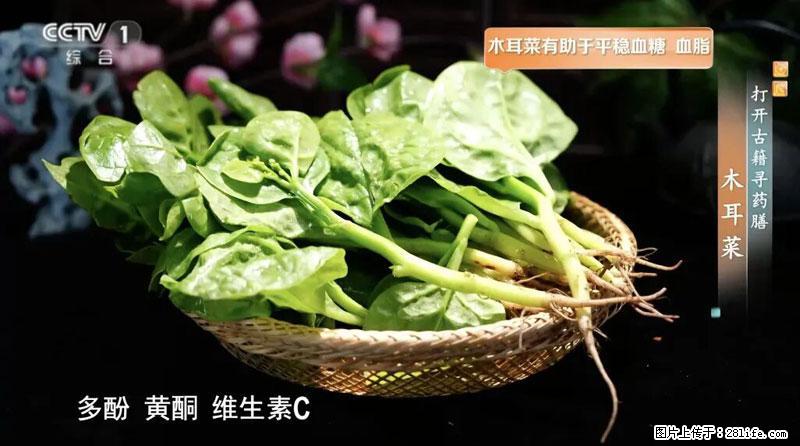 比牛奶补钙还厉害！凉血解毒、稳血糖...这菜冬天必吃，很多人却当草 - 朝阳生活资讯 - 朝阳28生活网 cy.28life.net