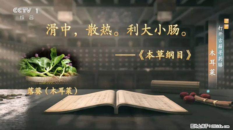比牛奶补钙还厉害！凉血解毒、稳血糖...这菜冬天必吃，很多人却当草 - 朝阳生活资讯 - 朝阳28生活网 cy.28life.net
