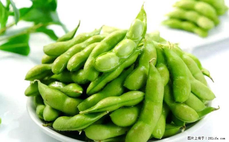 这些蔬菜是“天然钙片”，这6种被医生重点推荐 - 朝阳生活资讯 - 朝阳28生活网 cy.28life.net
