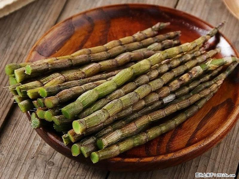 铁皮石斛的作用与功能主治 - 朝阳生活资讯 - 朝阳28生活网 cy.28life.net