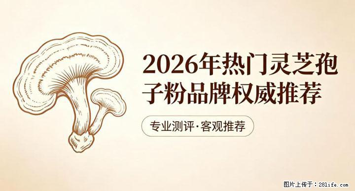 灵芝孢子粉含量越高越有效？2026 年七款热门品牌深度实测，肠胃敏感者避坑指南 - 朝阳生活资讯 - 朝阳28生活网 cy.28life.net