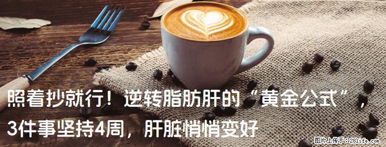 照着抄就行！逆转脂肪肝的“黄金公式”，3件事坚持4周，肝脏悄悄变好 - 朝阳生活资讯 - 朝阳28生活网 cy.28life.net